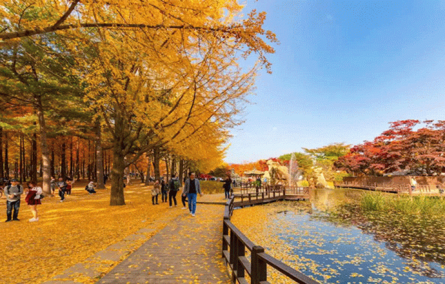 Seoul – Nami – Everland – Hàn Quốc 5N4D (Bay Vietjet Air)