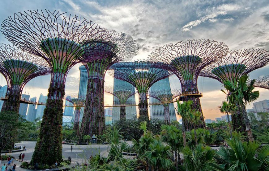 Malaysia – Singapore 5N4Đ | Gardens by the Bay – Cao nguyên Genting & Động Batu