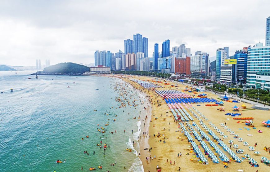 Tour Busan – Daegu – Seoul 6N5Đ | Bay Vietnam Airlines – Trọn Vẹn Hàn Quốc