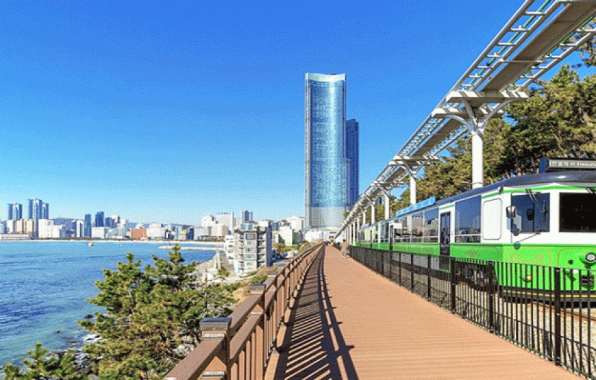 Tour Busan – Daegu – Seoul 6N5Đ | Bay Vietnam Airlines – Trọn Vẹn Hàn Quốc