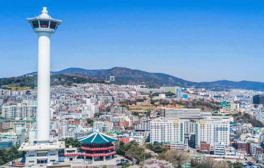 Tour Busan – Daegu – Seoul 6N5Đ | Bay Vietnam Airlines – Trọn Vẹn Hàn Quốc