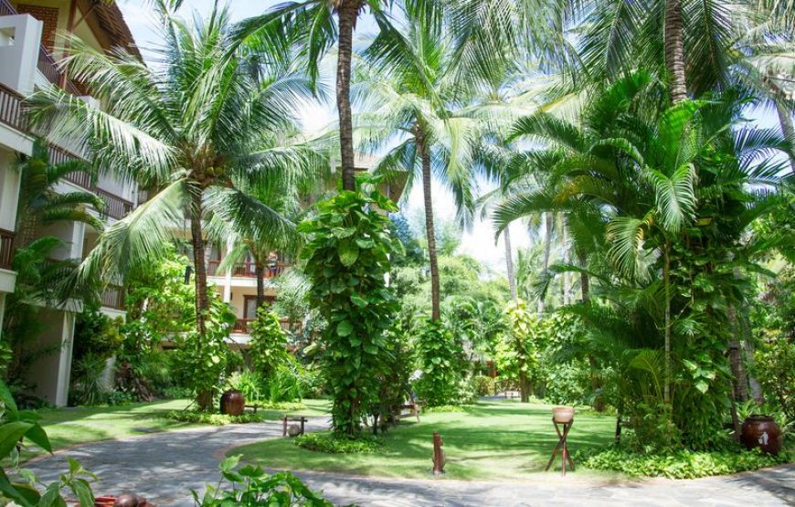 Bamboo Village Resort Mũi Né