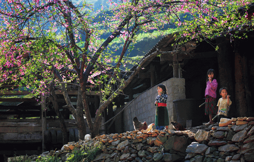 Tour Đông Bắc: Hà Giang – Lũng Cú – Đồng Văn – Mã Pí Lèng – Mèo Vạc – Cao Bằng – Thác Bản Giốc – Hồ Ba Bể – Hà Nội 6N5Đ (Bay Vietnam Airline)